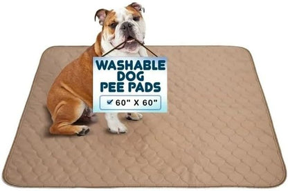 Reusable Dog Pee Pads – Washable Waterproof Training Mat for Puppies & Pets, Durable & Lightweight, 60" x 60"