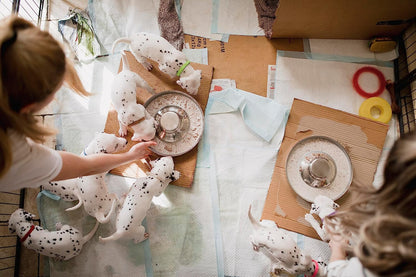 Stainless Steel Puppy Dog Bowls (2-Pack) – 11.8" Food & Water Feeder Dishes for Pets and Puppies