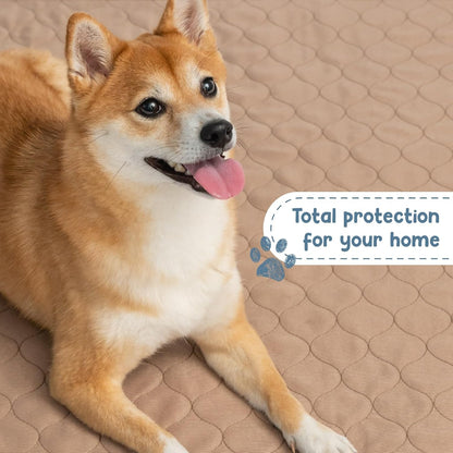 Reusable Dog Pee Pads – Washable Waterproof Training Mat for Puppies & Pets, Durable & Lightweight, 60" x 60"